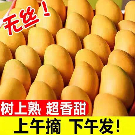 儋州市海南小台农芒果9斤新鲜当季时令水果金黄大甜心小台芒整箱包邮