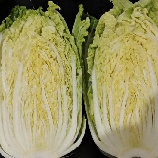 文水县山西文水白菜农户赔钱含泪甩卖，专业代办，质量保证，价格合理！
