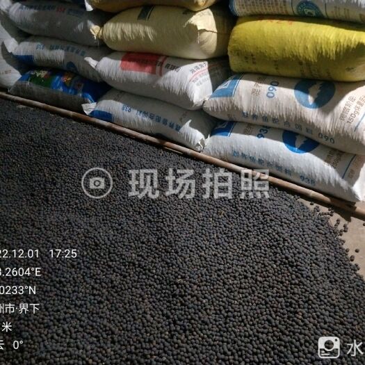 攸县壳莲出售