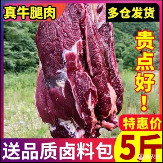 杭州【冷链包邮】原切牛腿肉前牛腱子原切不调理生牛肉鲜牛肉黄牛肉