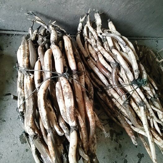 舌尖上的味道  嘉鱼野藕