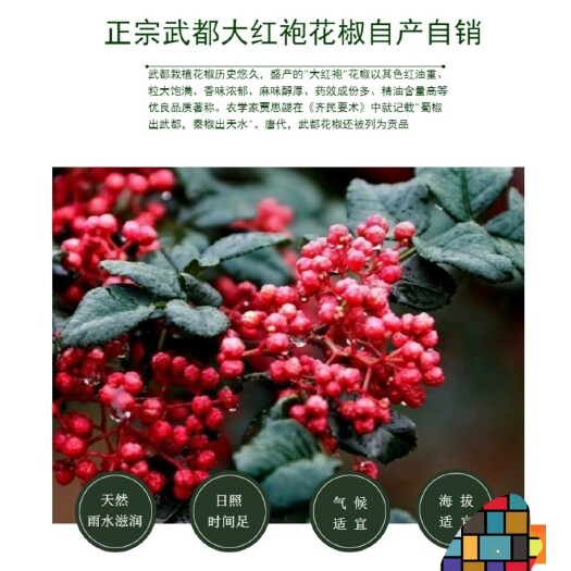 昆山市2023年武都大红袍花椒包邮500克食用特麻特级花椒甘肃陇南
