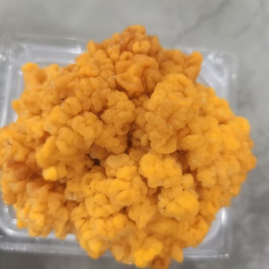 高密市潍坊鲜金耳开始上市，货品优质。每天现货发出