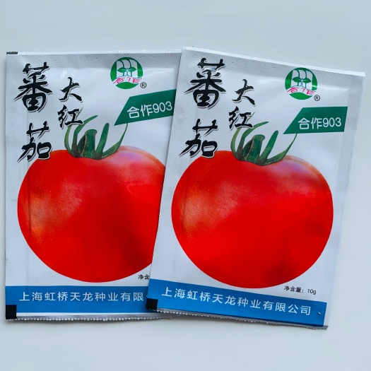 原包装西红柿种子粉果沙瓤大番茄种子农家大棚四季播种蔬菜种孑籽