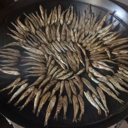 长沙鱼干