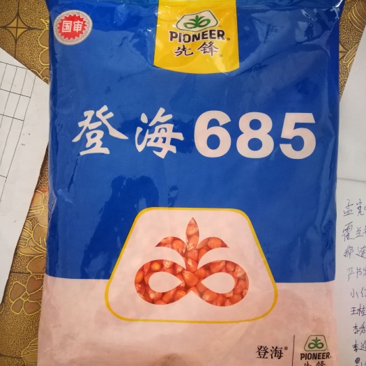 故城县登海685玉米种子