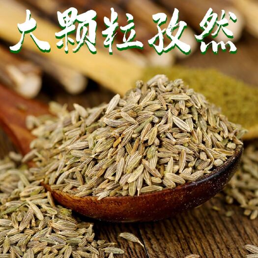 玉门市孜然，孜然颗粒，甘肃新疆国内孜然，非，日照强，油性大