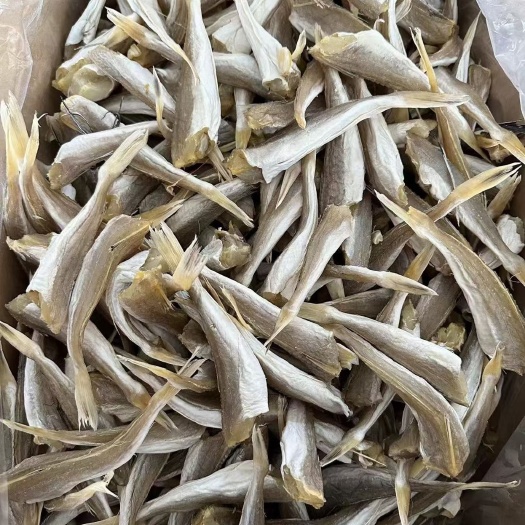 佛山淡干角肉角条 淡干红娘鱼干 九成干干度好颜色靓淡口