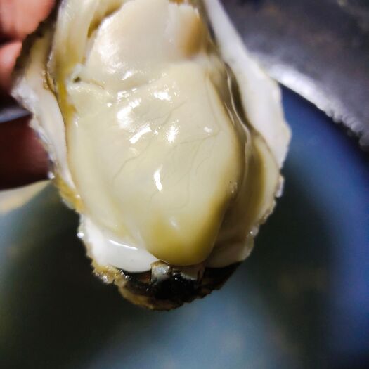 乳山市养殖加工直发一体化，主要经营精品货，可供市场酒店各大批发市场