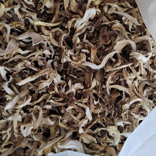 邯郸平菇干，条状。平菇基地直发，物美价廉，欢迎各位老板来电详谈。