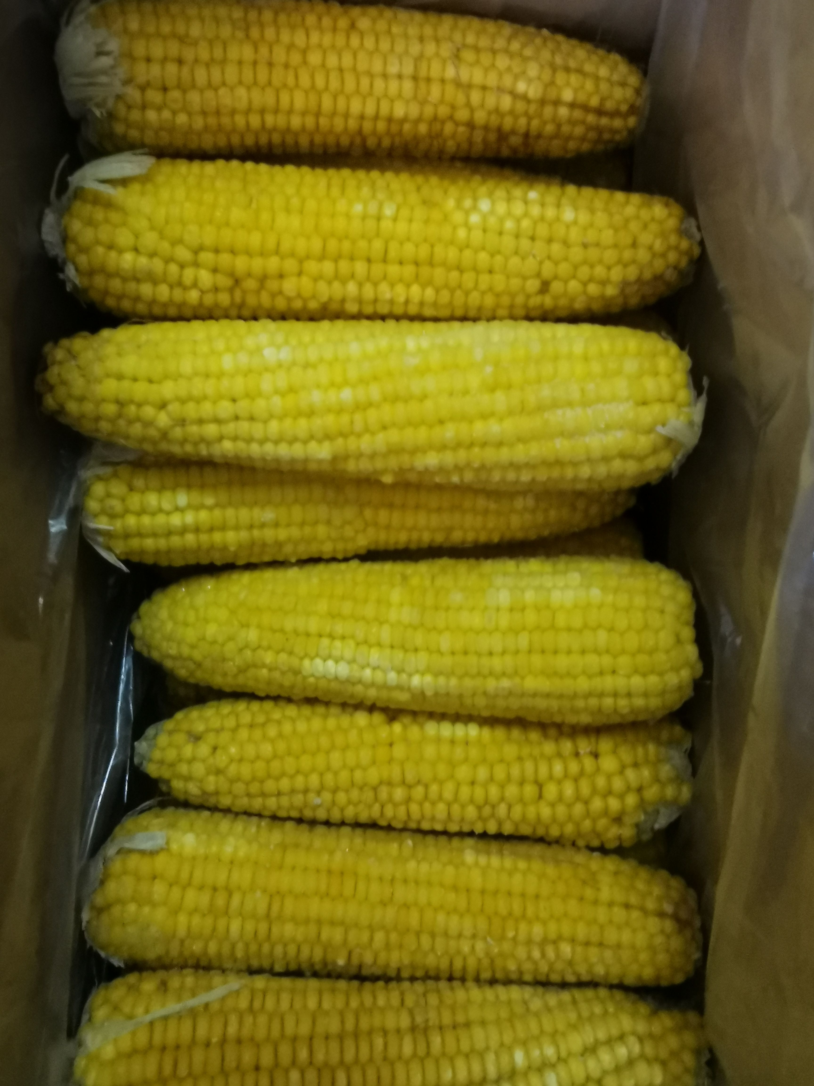 糯玉米 依然香食品加工厂基地种植非转基因食品，营养又健康