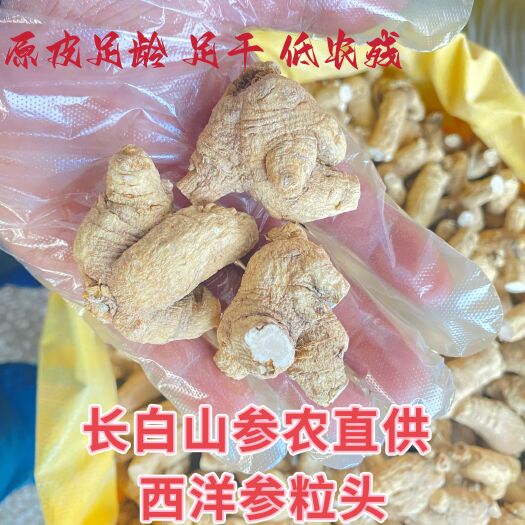 蛟河市自产优质低农残西洋参(软支)粒头2一40克各种规格