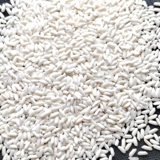 广州越南糯米 大糯 冬春糯