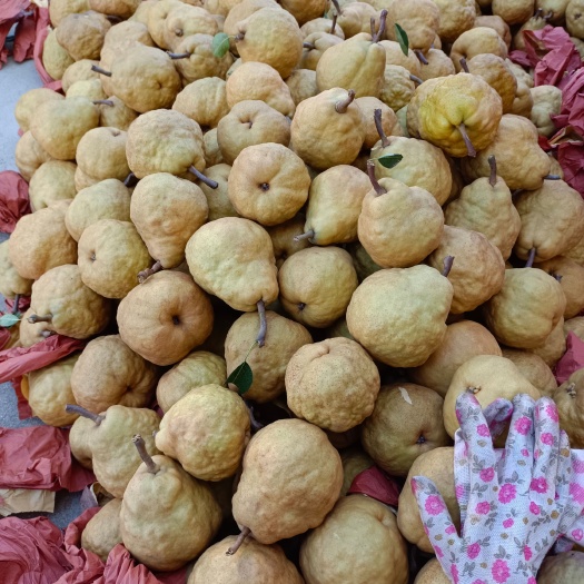 威海山泉水灌溉，现货