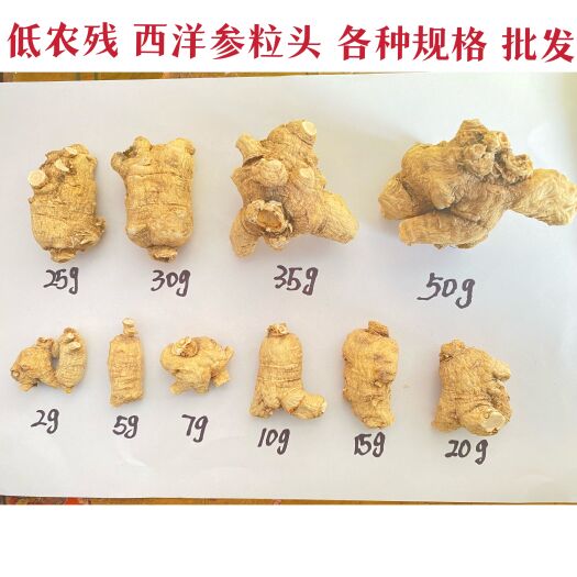 自产优质低农残西洋参粒头，原皮足龄2一40克足干，无硫，包邮