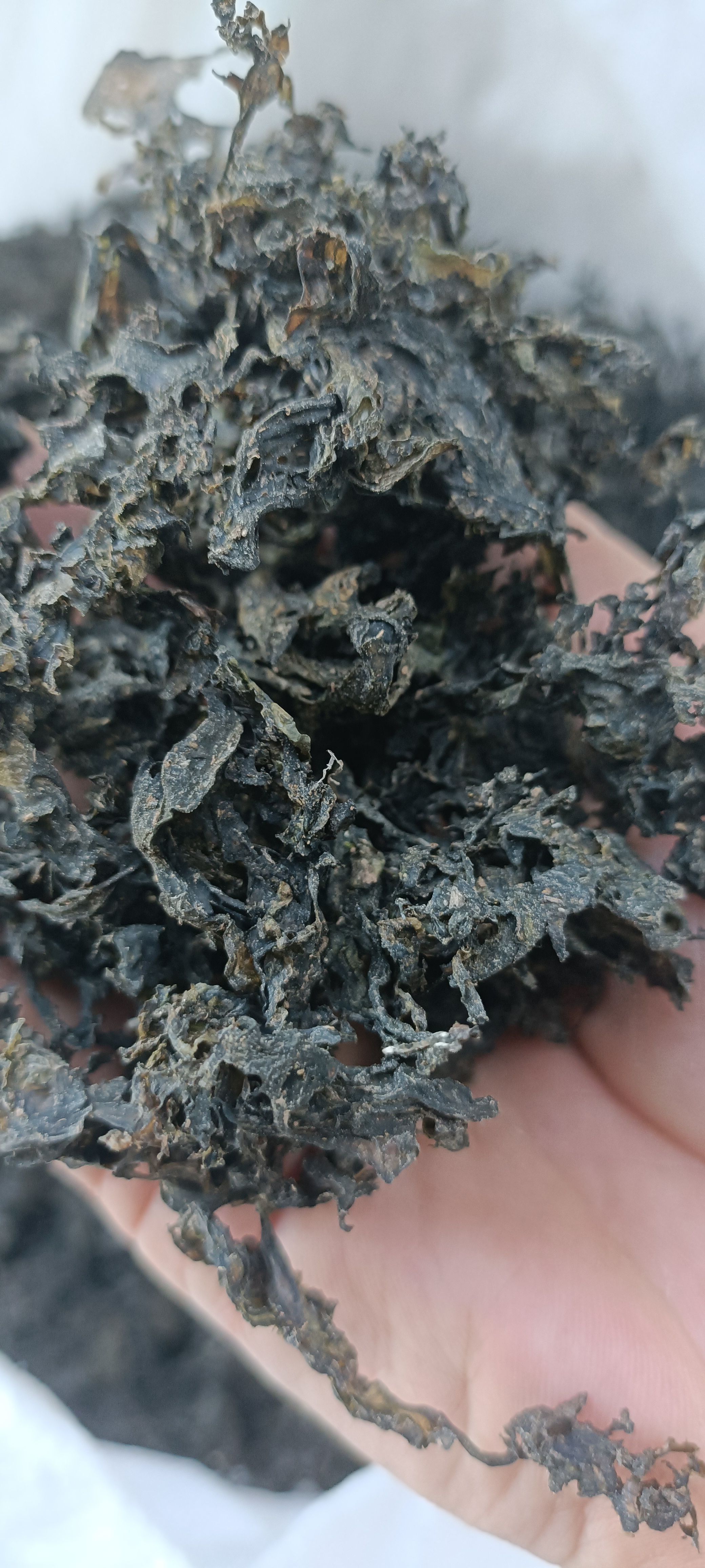 ：毛货：干净过筛，泡发十足