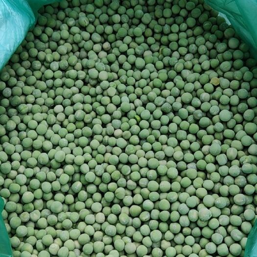 明光市毛豆夹   玉米  青豆   毛豆仁