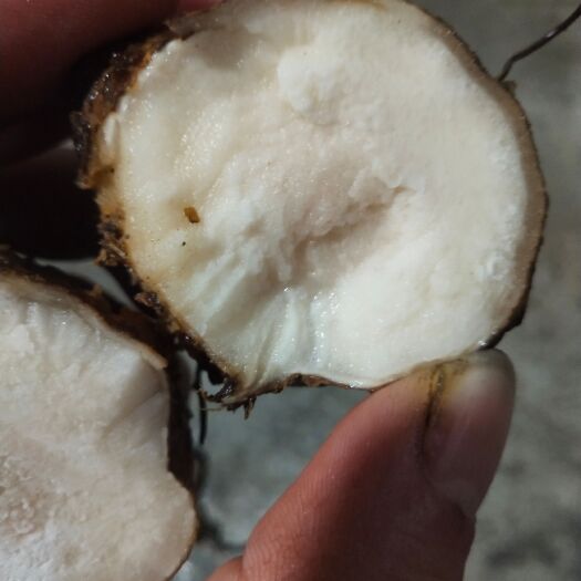 筠连县变色土茯苓，产地供货，纯