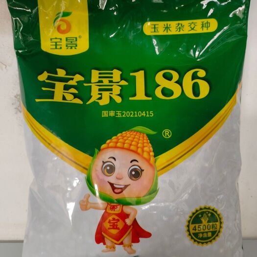 [良玉99玉米种子批发]mc670,国审矮秆抗倒,轴细耐密米质好,一袋一码