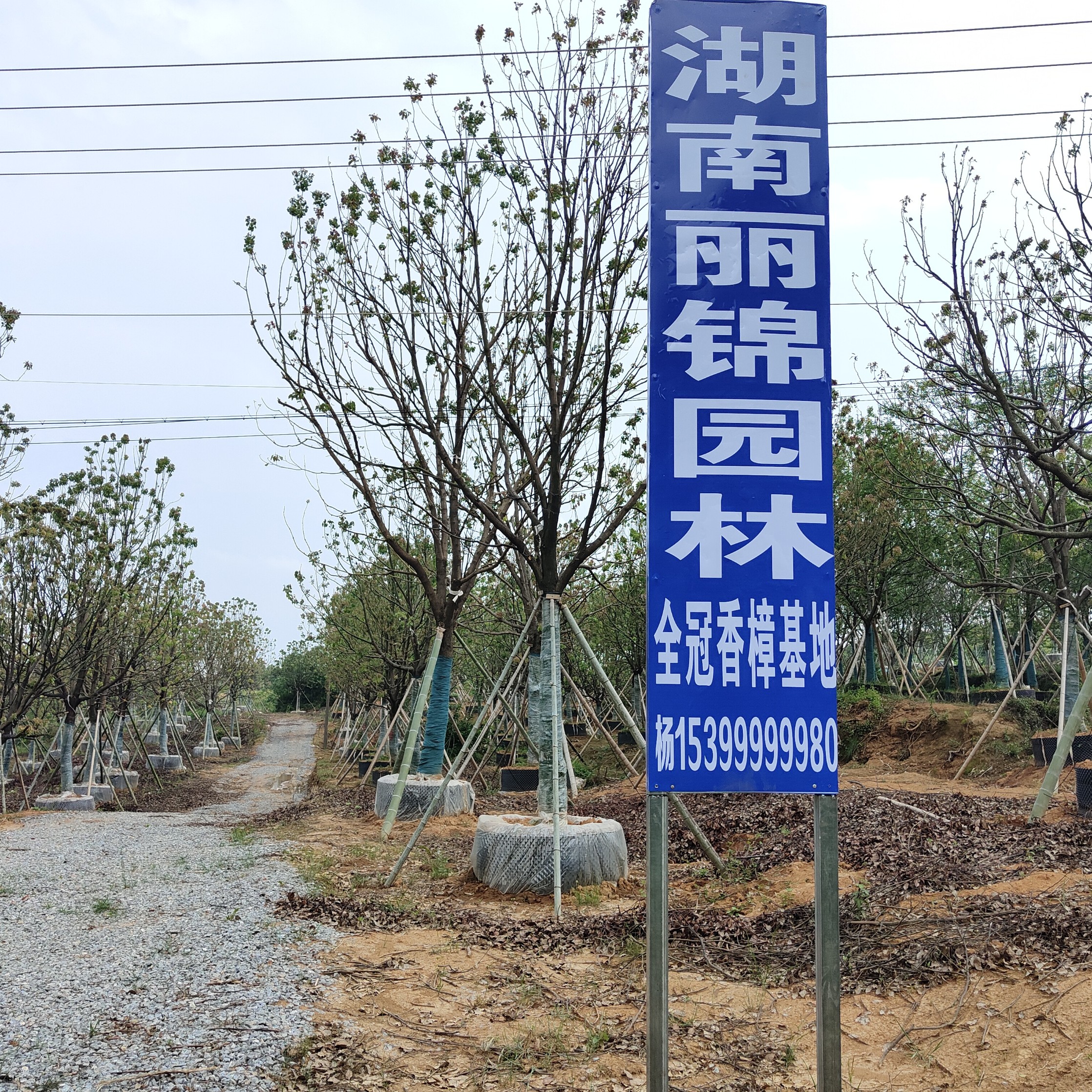 湖南麗錦園林