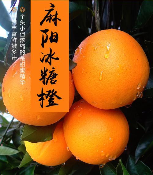 麻阳县麻阳冰糖橙欢迎你们来采购