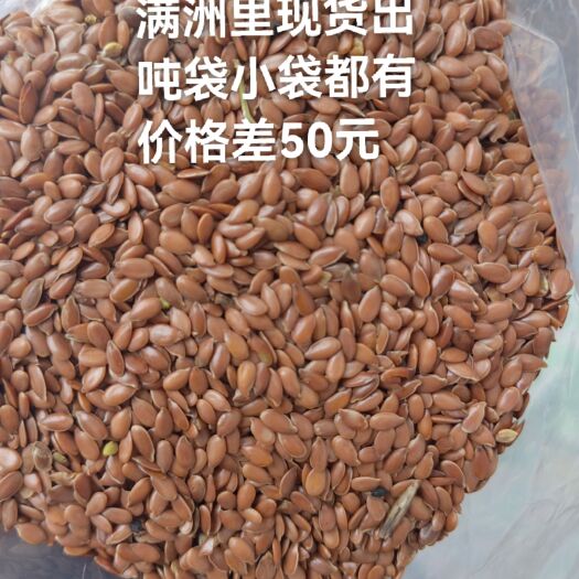 满洲里市48含油，，籽粒干净饱满