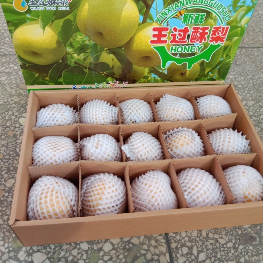 运城贡梨