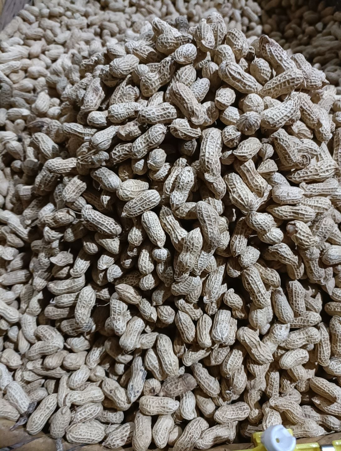 宜章县宜章土货，珍珠花生