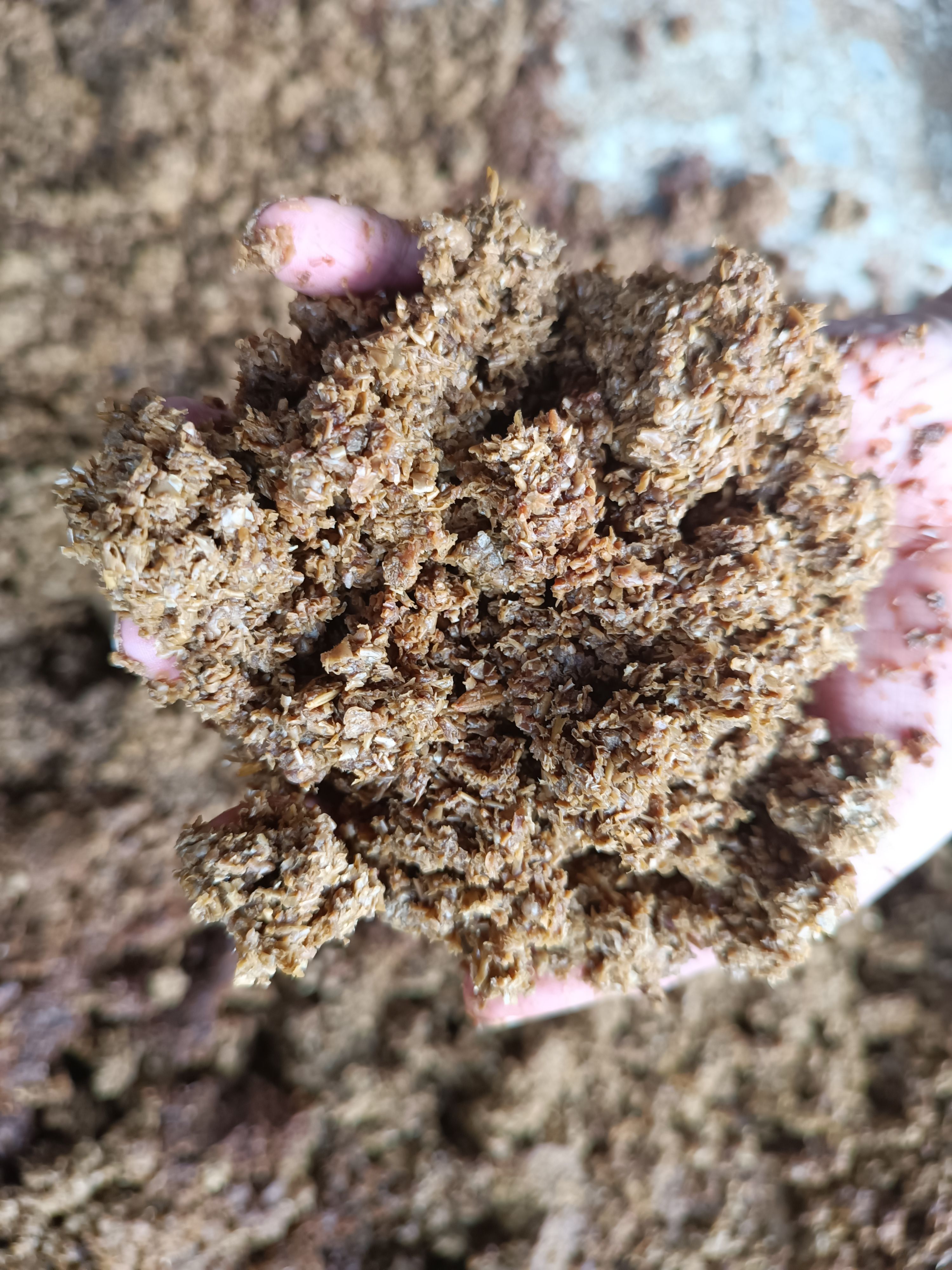 贵州酱油渣大量供应， 牛羊水产养殖好饲料！