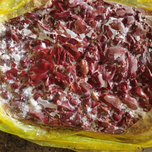 濮阳鸡肝