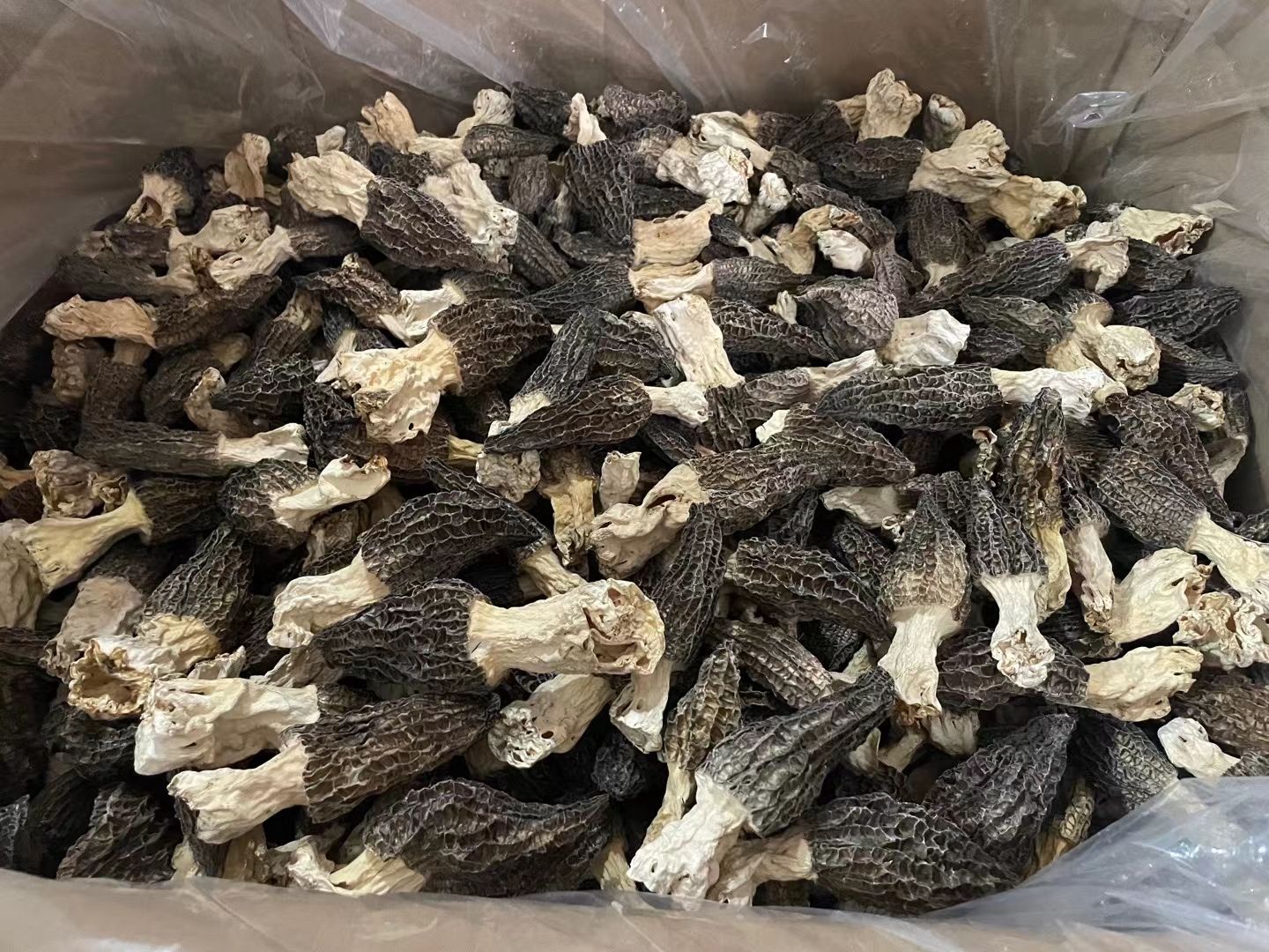 中号羊肚菌5-8公分 厚肉 颜色黑 品质好价格优，炖汤 炒菜