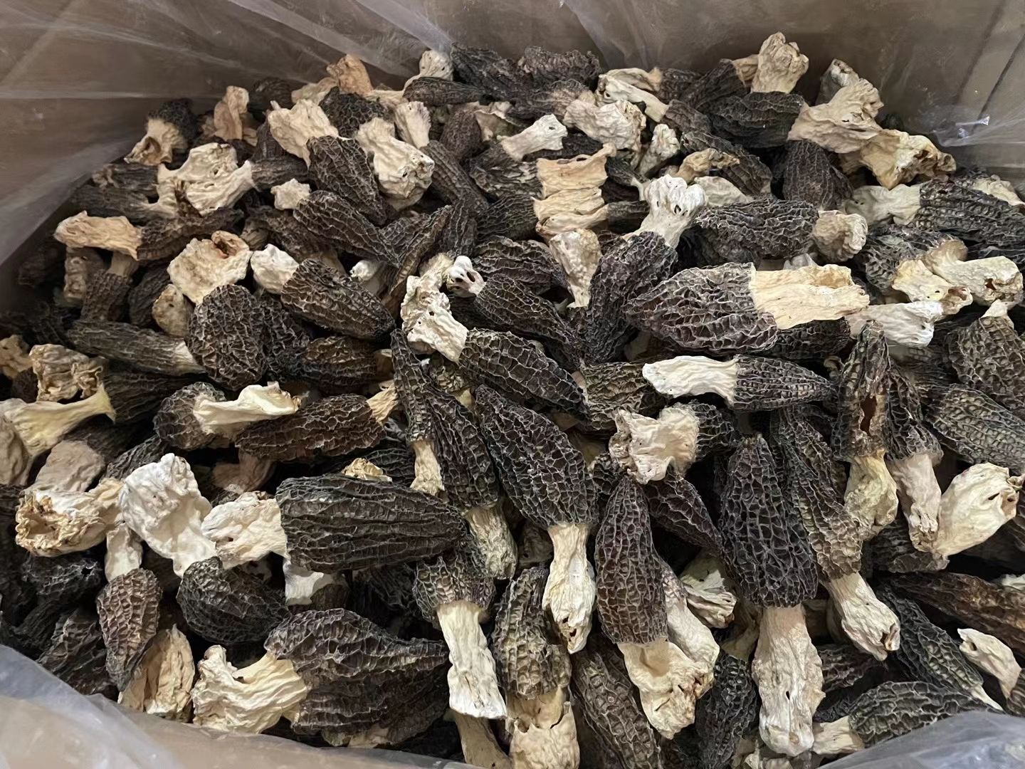 中号羊肚菌5-8公分 厚肉 颜色黑 品质好价格优，炖汤 炒菜