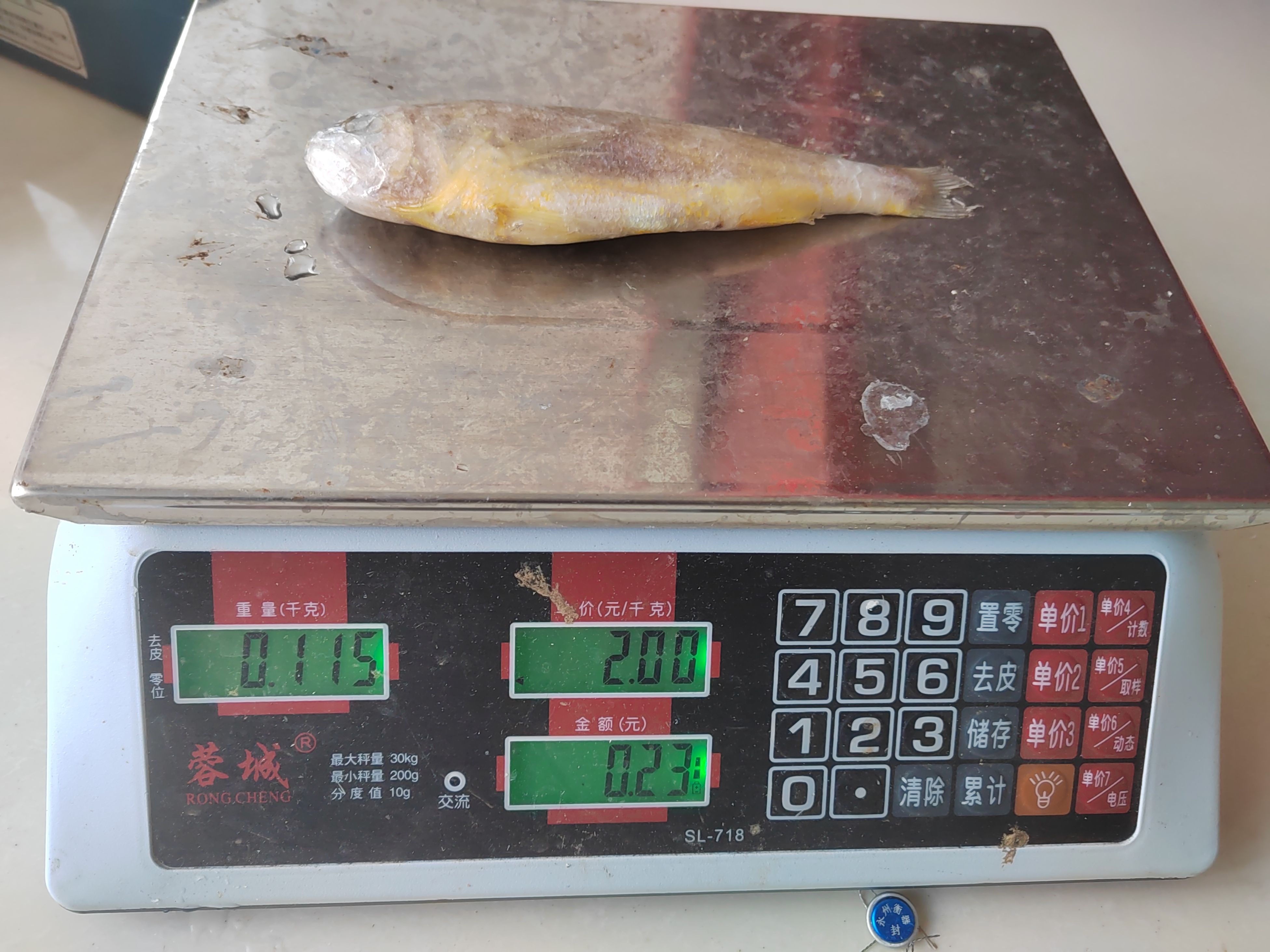 舟山近海新鲜冰冻小黄鱼黄花鱼有袋装有盒装对接食堂餐饮店