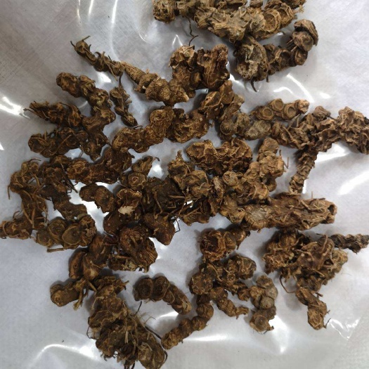 镇巴县八角莲种子