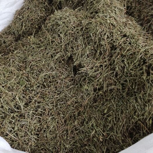 半枝莲别名狭叶韩信草通经草紫连草并头草牙刷草水韩信