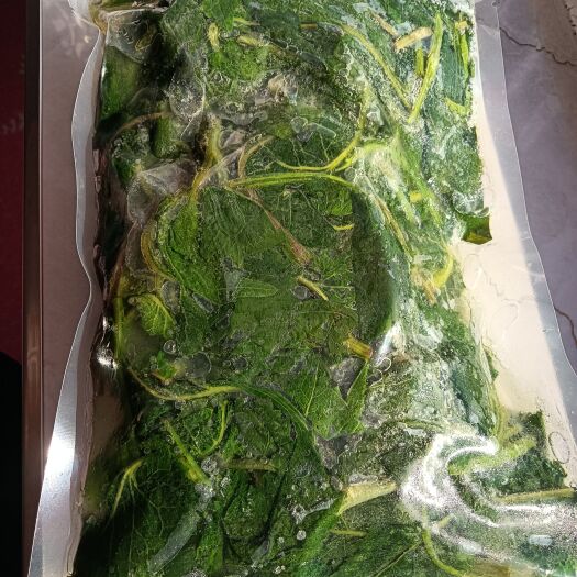 东港市冷冻山野菜东风菜大耳毛