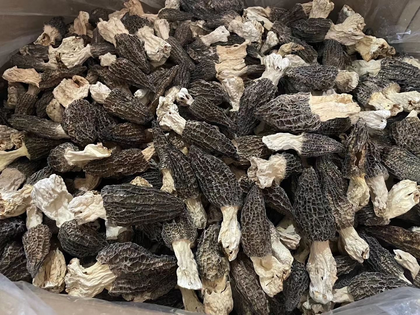 中号羊肚菌5-8公分 厚肉 颜色黑 品质好价格优，炖汤 炒菜