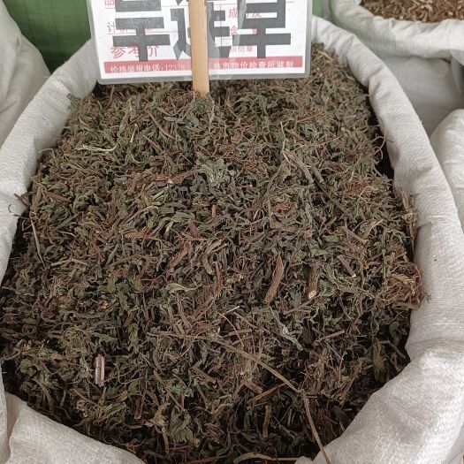 墨旱莲别名中草药旱连草旱莲草黑墨草水风仙草量大从优