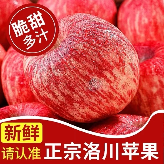 陕西红富士苹果水果新鲜当季整箱红富士冰糖心一级脆甜10斤