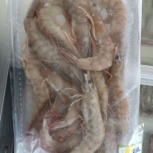 唐山盐田虾卤水南美虾