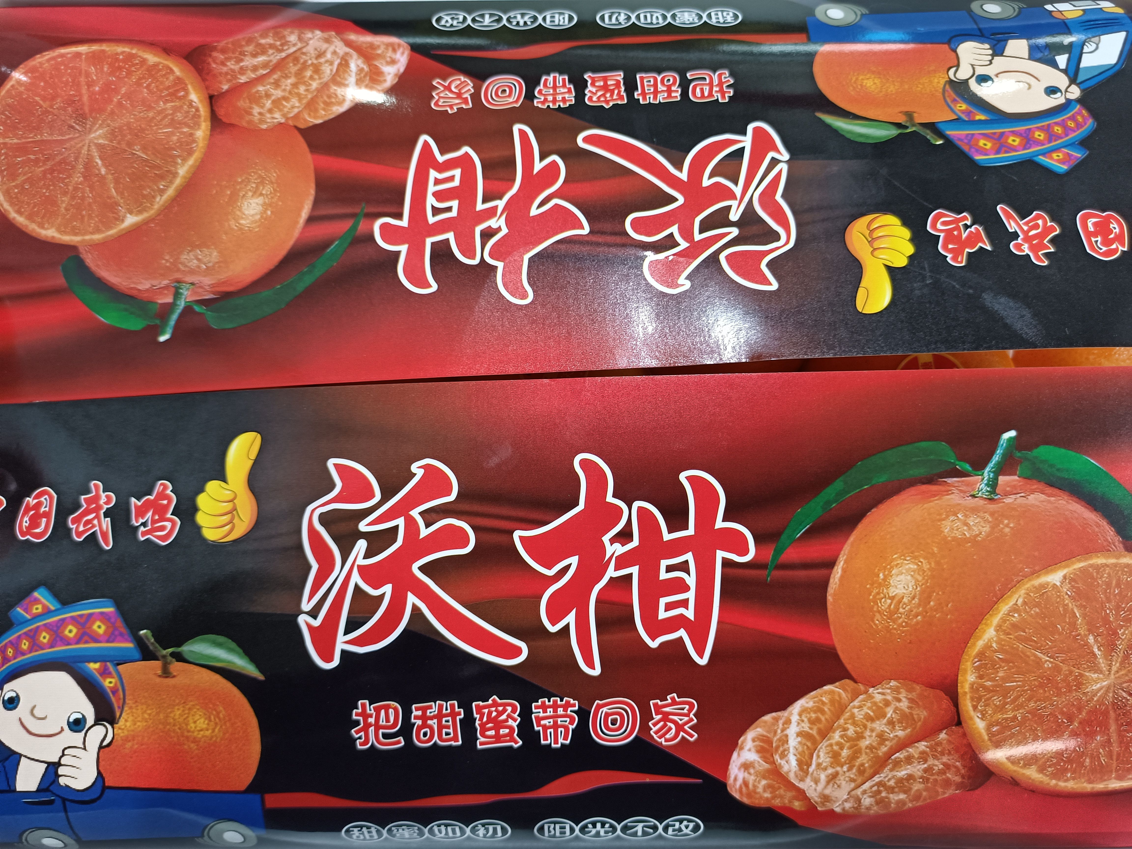 武鸣沃柑