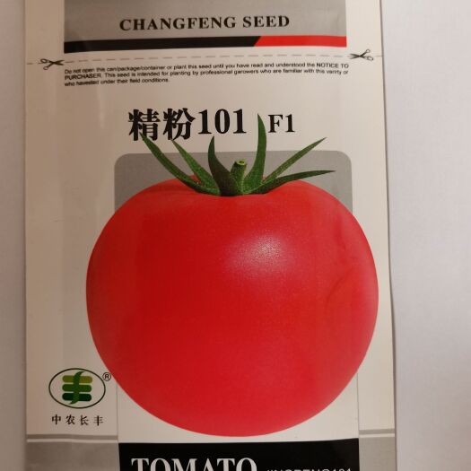 精粉101大粉大番茄种籽大红四季毛粉柿子种子西红柿种子基地