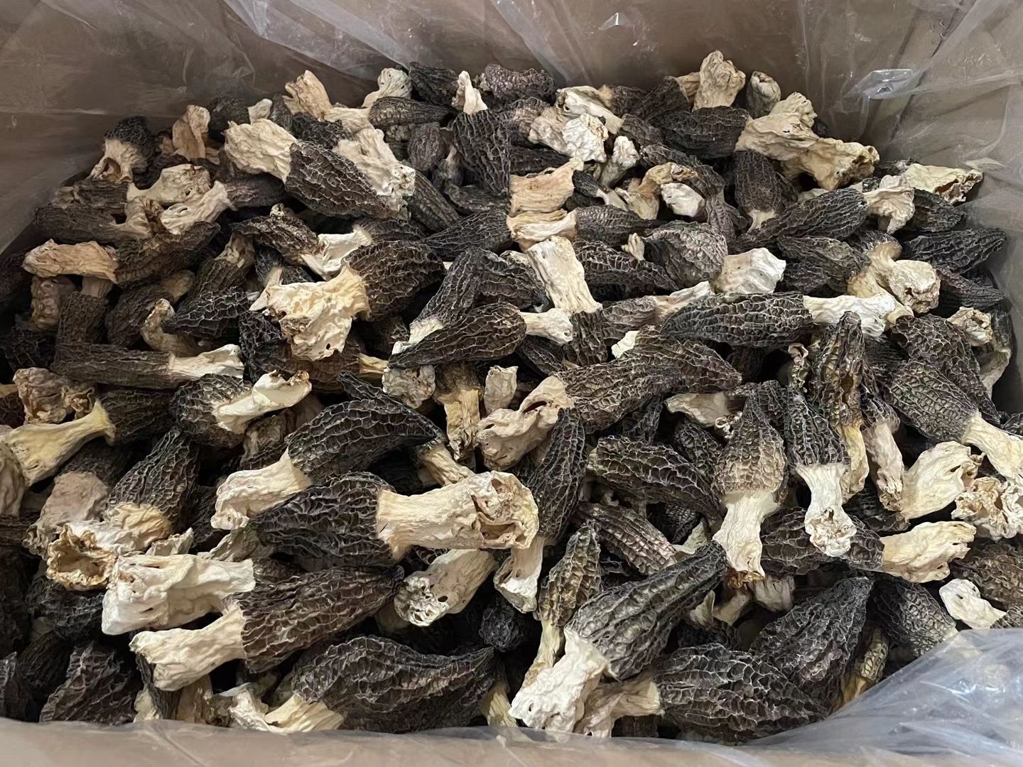 中号羊肚菌5-8公分 厚肉 颜色黑 品质好价格优，炖汤 炒菜