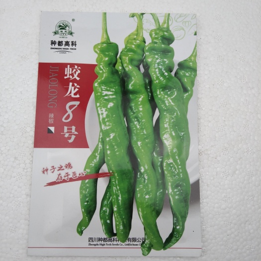 昆明螺丝椒种子坐果能力强抗病性强产量高