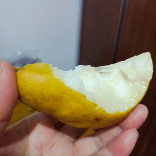威海奇丑无比的丑梨，入口即化香甜可口的丑梨