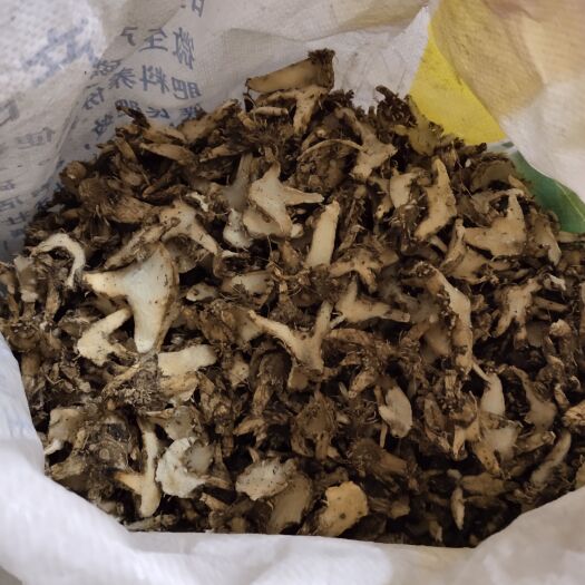 古蔺县白芨，紫花三叉白芨鲜品