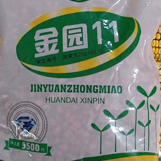 扶余市国审大棒金园11