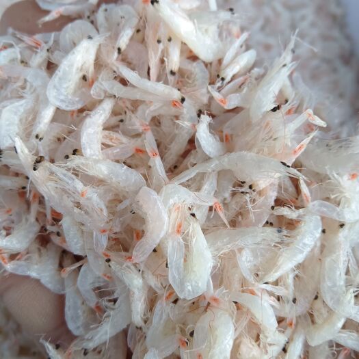 滨州淡干无盐虾皮，适合跑江湖摆地摊