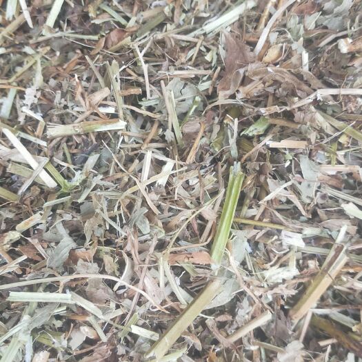 彰武县出售花生秧草粉