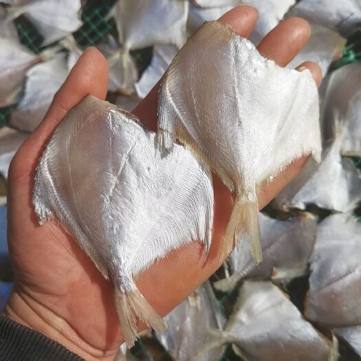 北海白鲳鱼干 小白鲳鱼干 鲳鱼干